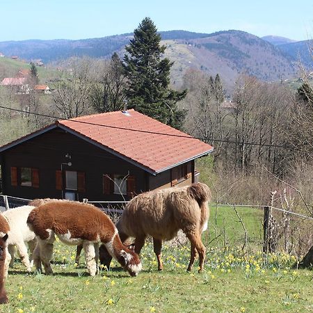 Chalet Les Bouleaux, La Montagne Des Lamas La Bresse Bagian luar foto