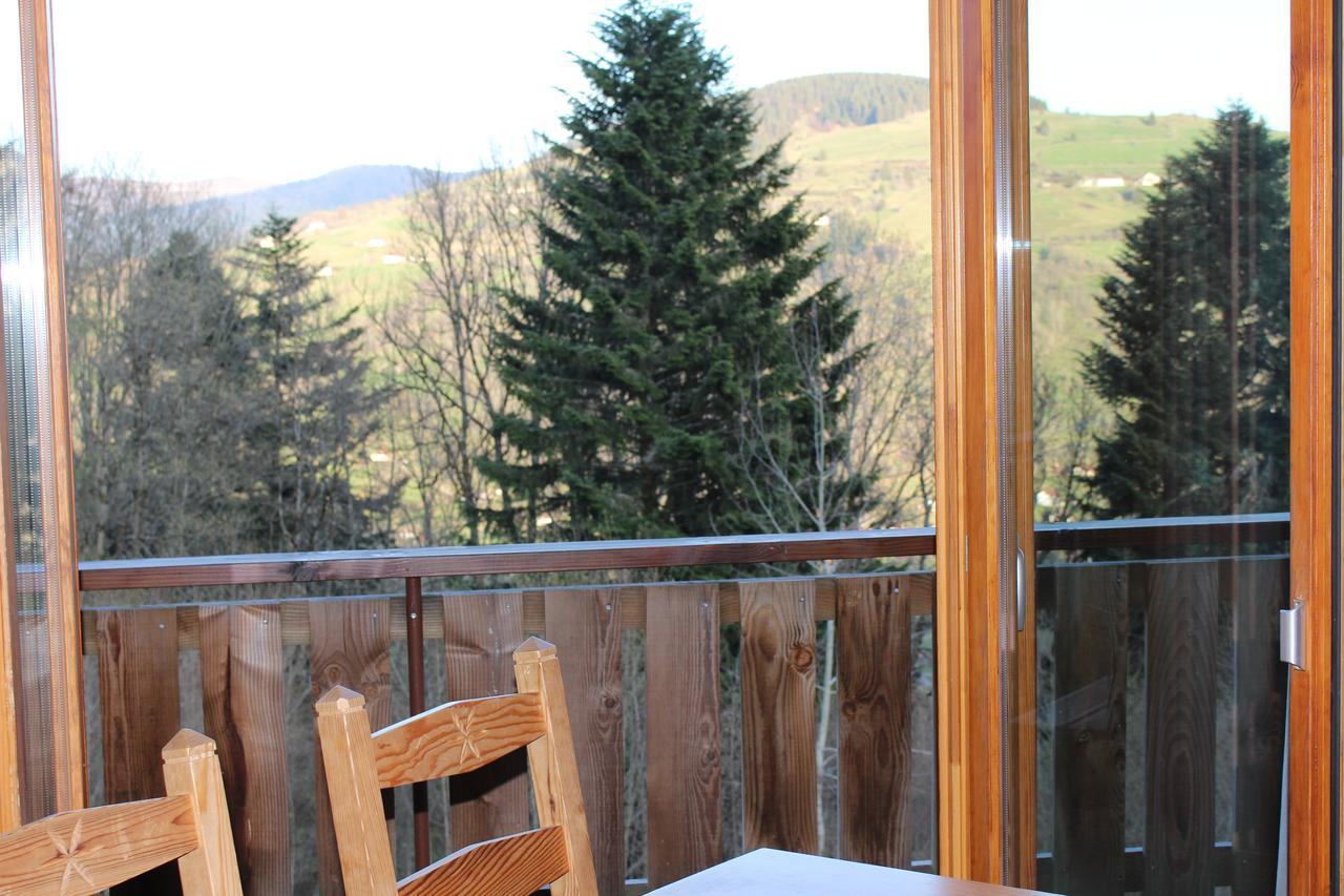 Chalet Les Bouleaux, La Montagne Des Lamas La Bresse Bagian luar foto